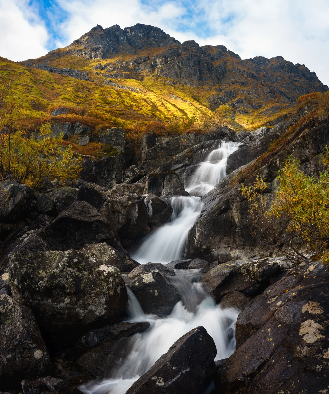 View b223aa1ff69da77af65ae384bb0a83f5.jpg by TYLER YATES