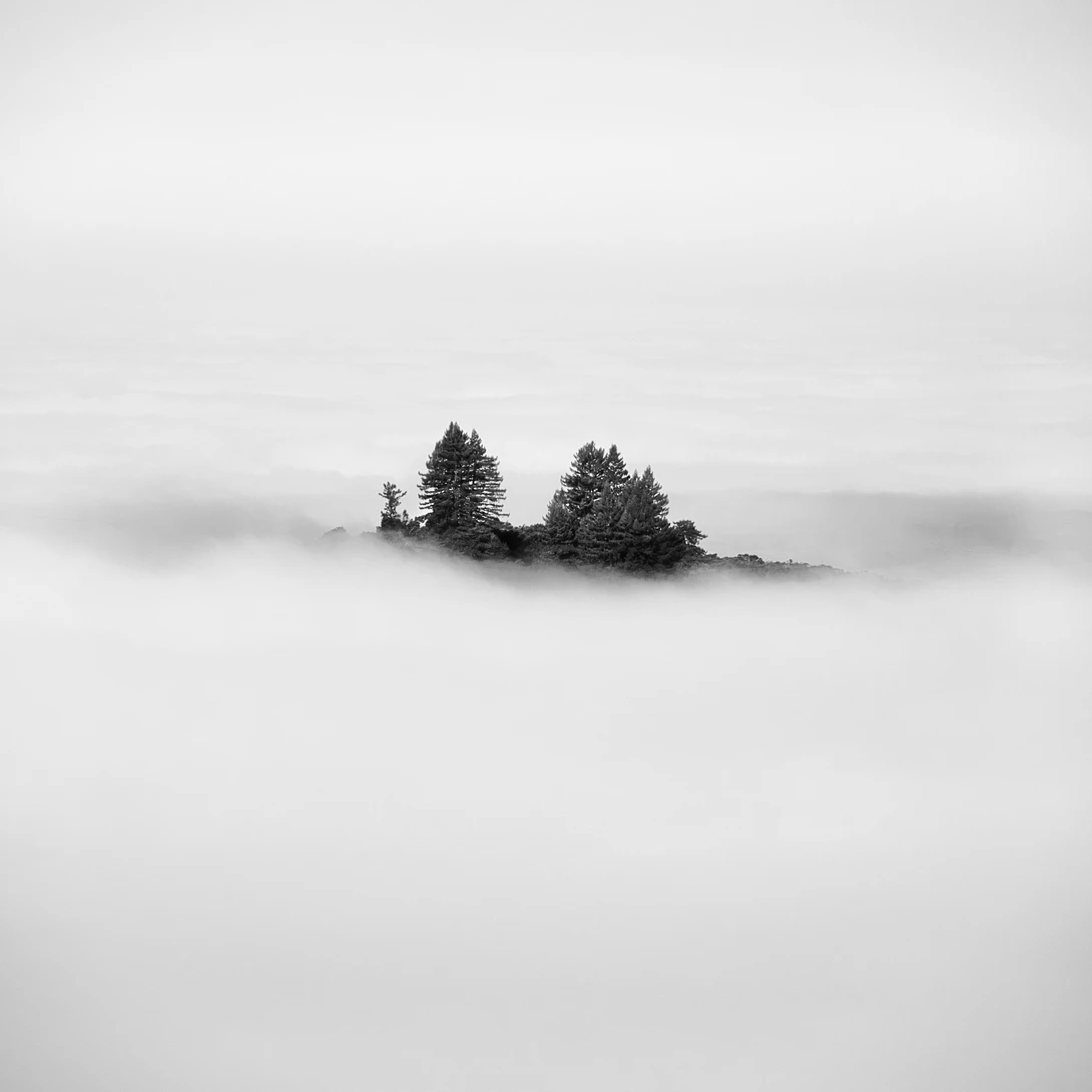 View b61ec7dad8bc4c7133fa378a11c8b583.jpeg by David Medeiros