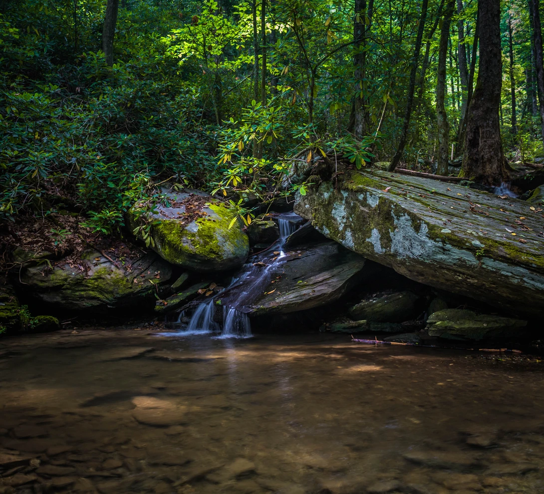 View b6d1872c3425fe8ab9d8225dda2b182b.jpg by Devin Elrod