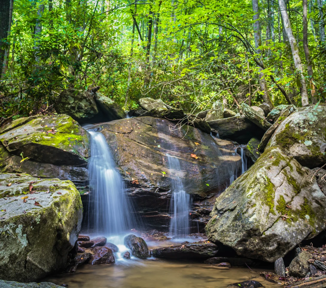 View c5922cc4b69bd93bbf8618f6370949f1.jpg by Devin Elrod