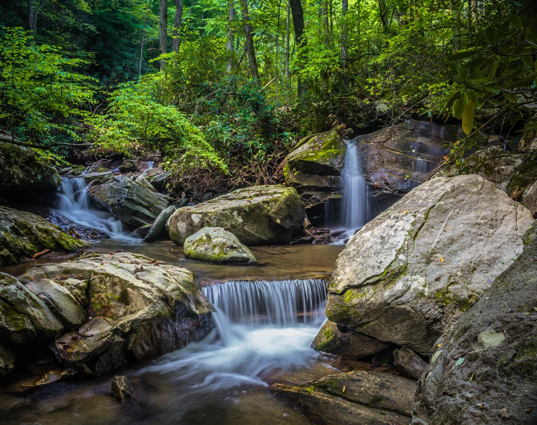 View cc8224e3f45142b8318422b6e936d22f.jpg by Devin Elrod
