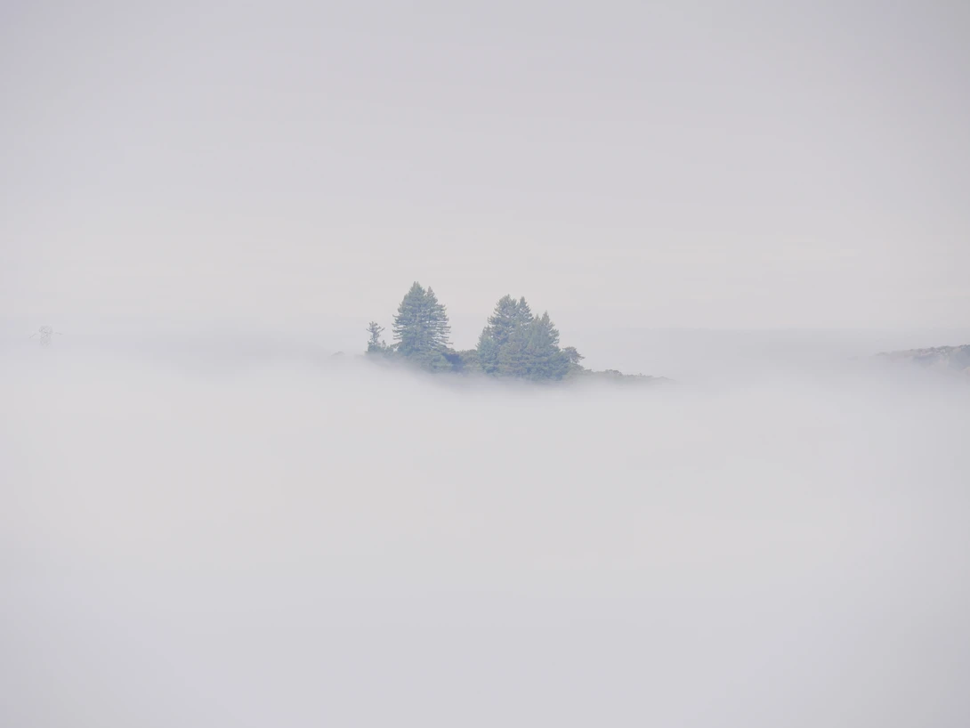View ebe090bb816f8692fb0473c9c4a2230c.jpg by David Medeiros