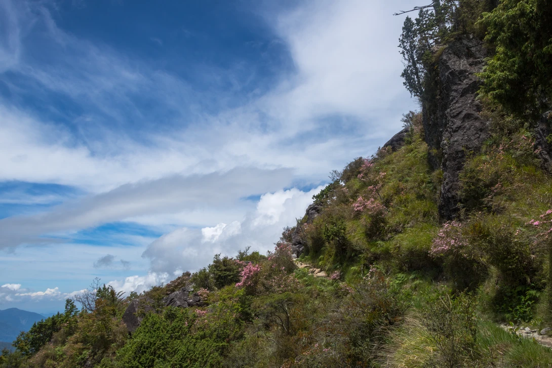 View f44832d33311cef1eee6edb46ac358e5.jpg by Ryan Hevern
