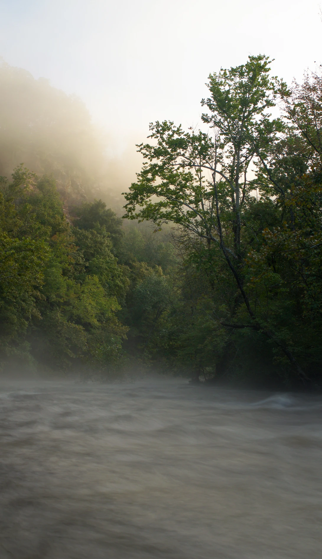 View f71bf88b0eadee0a4db1cfeb54aca9dc.jpg by joseph cole