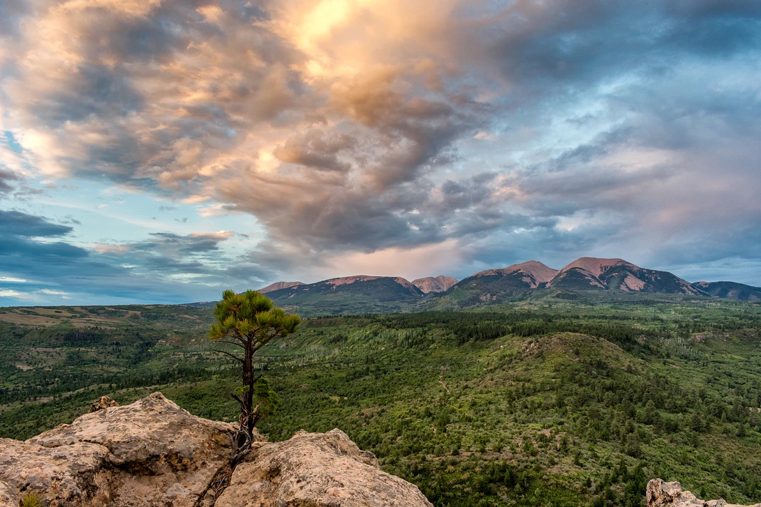 View fe006b9d8f2bfbe52202a532b69444e5.jpg by William Van Schepen