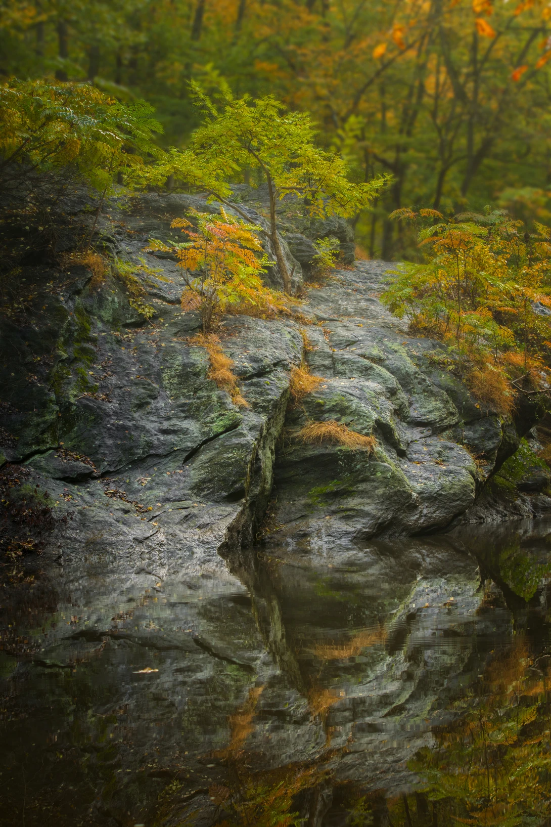 View 08242384eccc9fe6d646cda531b22b3c.jpg by joseph cole