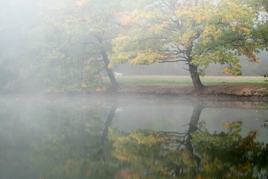 View 0a189222610d5f3214d5533a108fe068.jpg by Thorsten Westheider