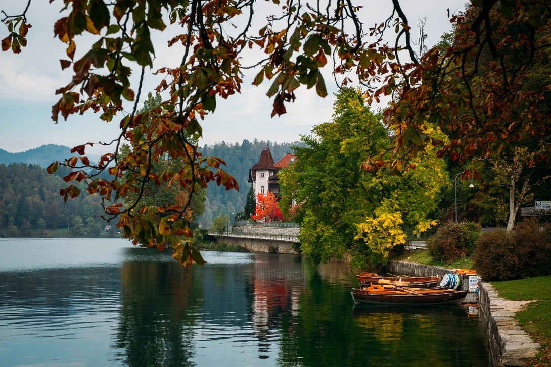 View 120a362e0160bfb392d7148ebfebd273.jpg by Dejan Andjelic