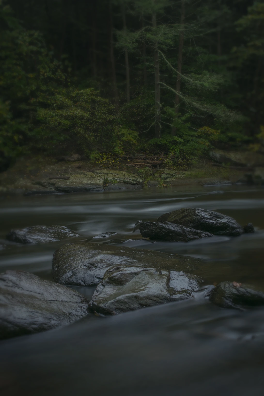 View 21b8830b16d9f3726e06685800947e36.jpg by joseph cole