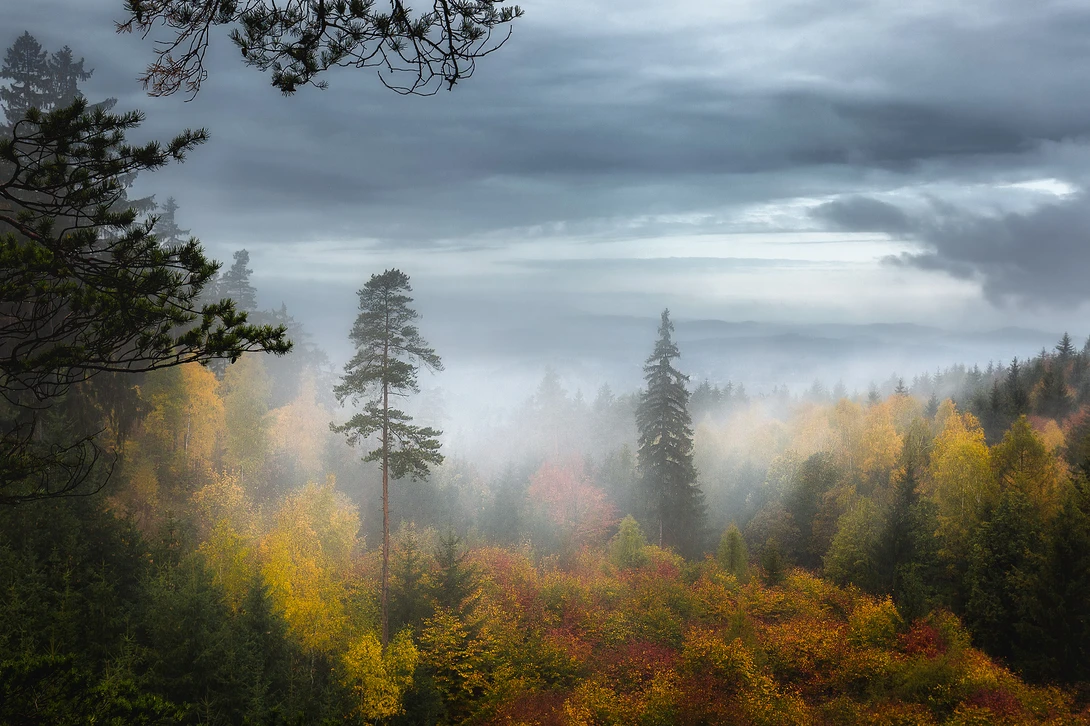 View 22cc4ecffabfd7553de52c3809ee15b8.jpg by Andrzej Muzaj