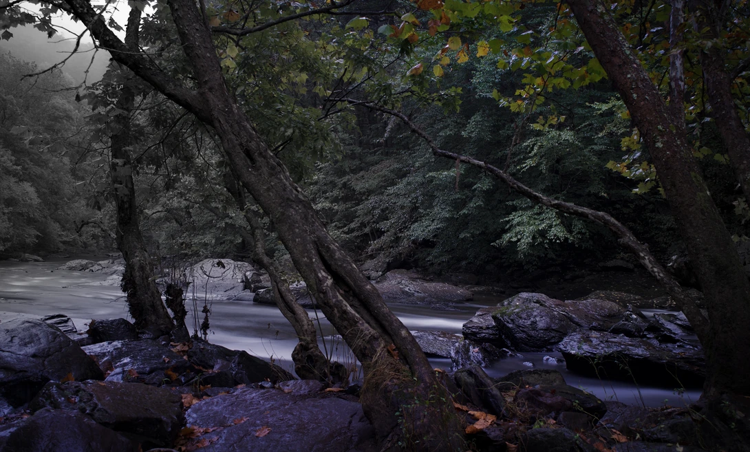 View 26e82e9c01345a76c6c154a0b1a3a3d1.jpg by joseph cole