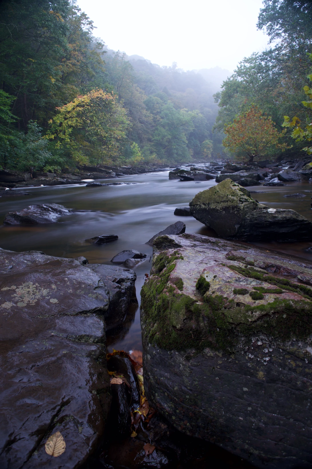 View 34a470e961e1f84291dce1abbe918050.jpg by joseph cole