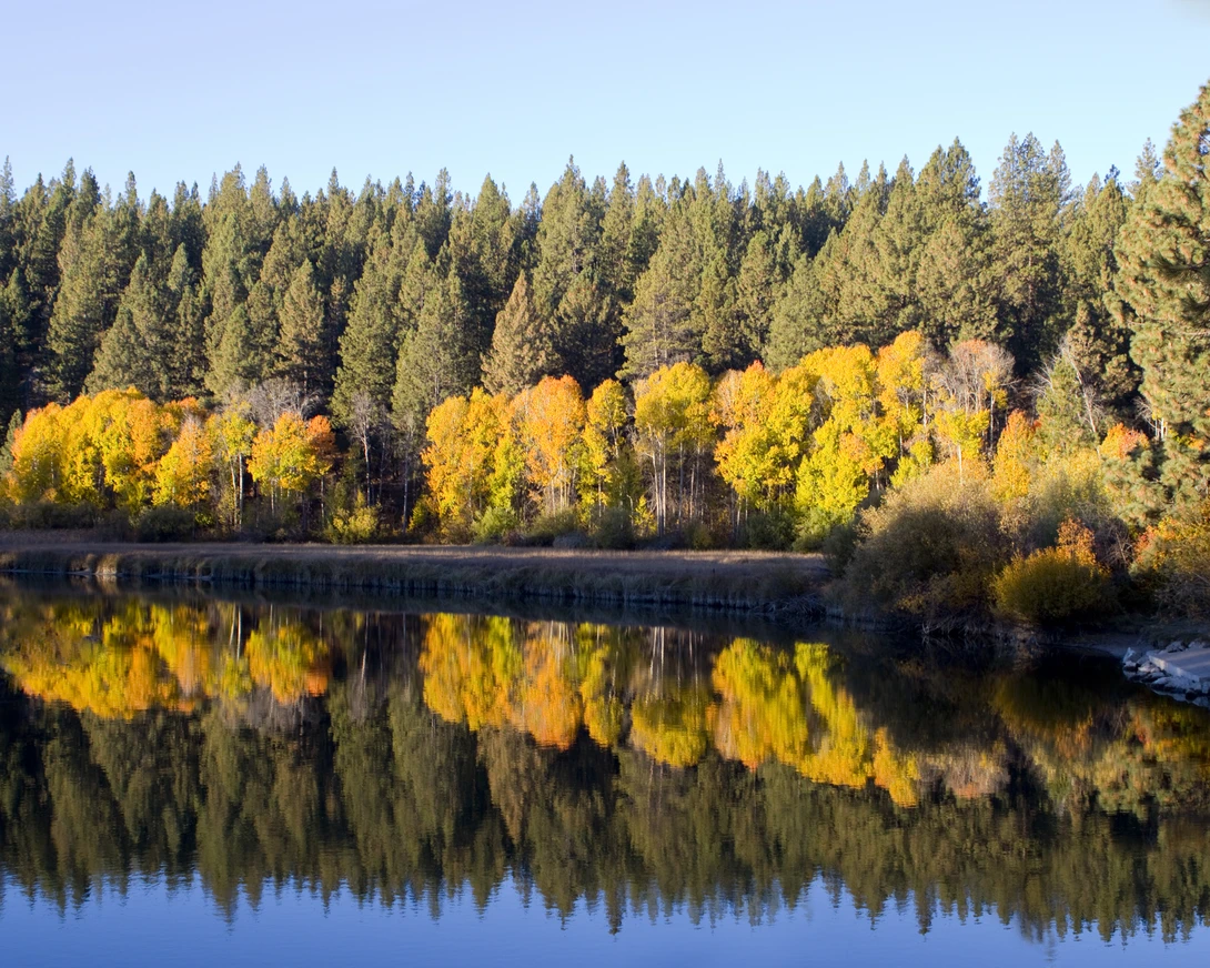 View 3abc05fc12e64a5469b8c1be3453a48d.jpg by Jeff Haynes