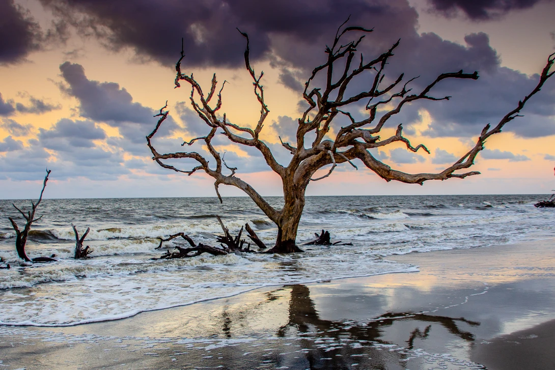 View 3c5968a764d31a56c73d99242fe843cc.jpg by Mike Gutting