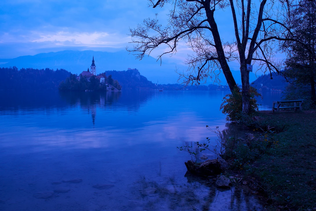 View 4111ef7f8bd501fabbc2a384384289f7.jpg by Dejan Andjelic
