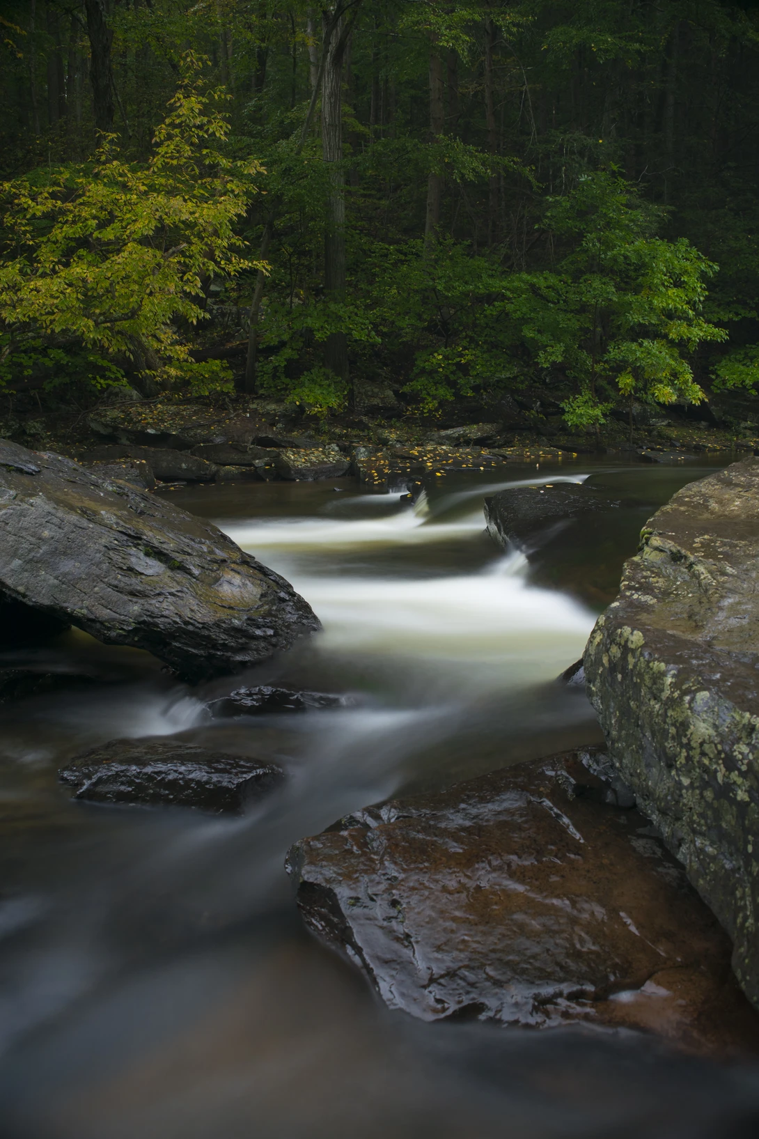 View 473c17b2e2184a2e8408479f8a67c06a.jpg by joseph cole