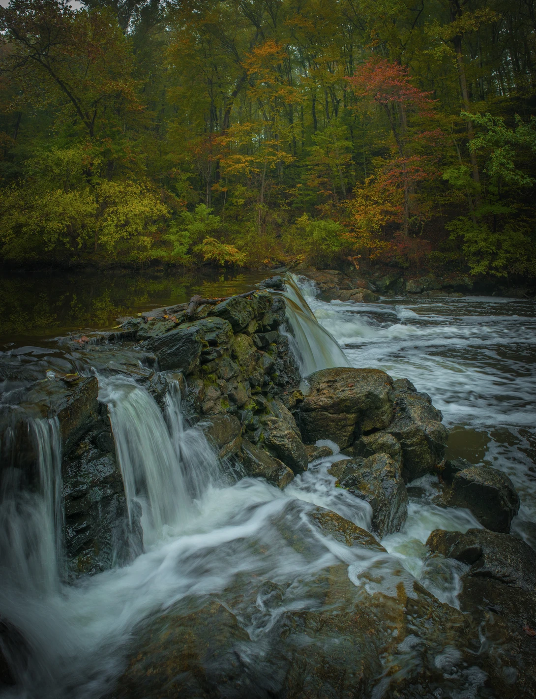 View 480a7f64e70577a495558e849a320cbd.jpg by joseph cole