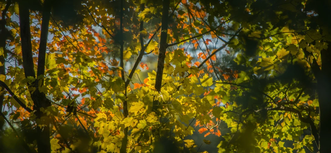View 53b9f8e2243d79a8324cbe74d6243c90.jpg by joseph cole