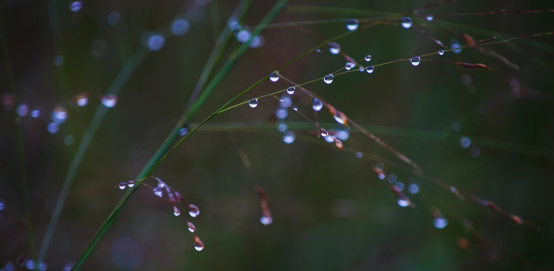 View 55702bb8c32504a3512f987b512c2c73.jpg by joseph cole