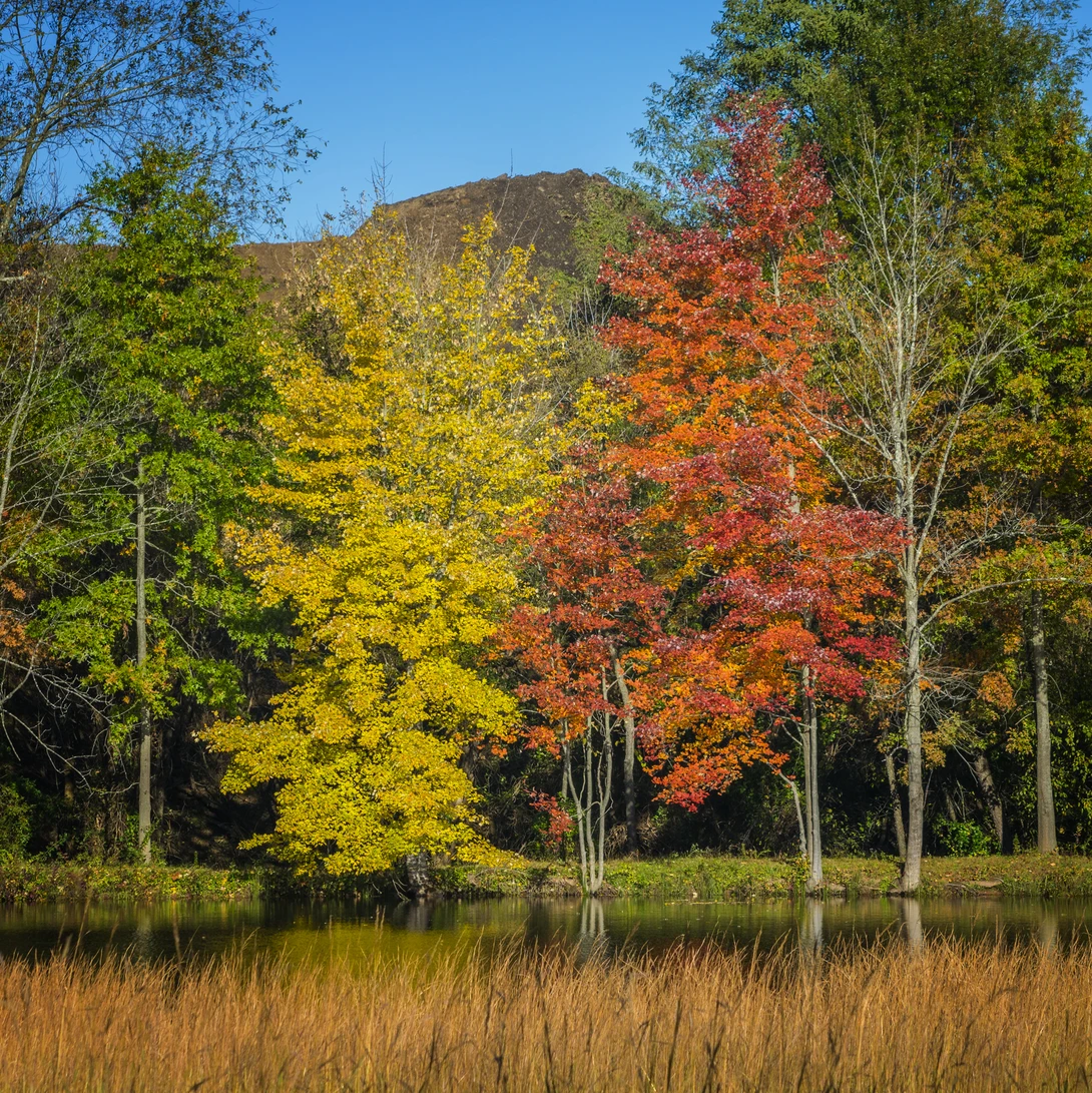 View 5b8870695a50fdfaa128d6ea06a30ac1.jpg by joseph cole