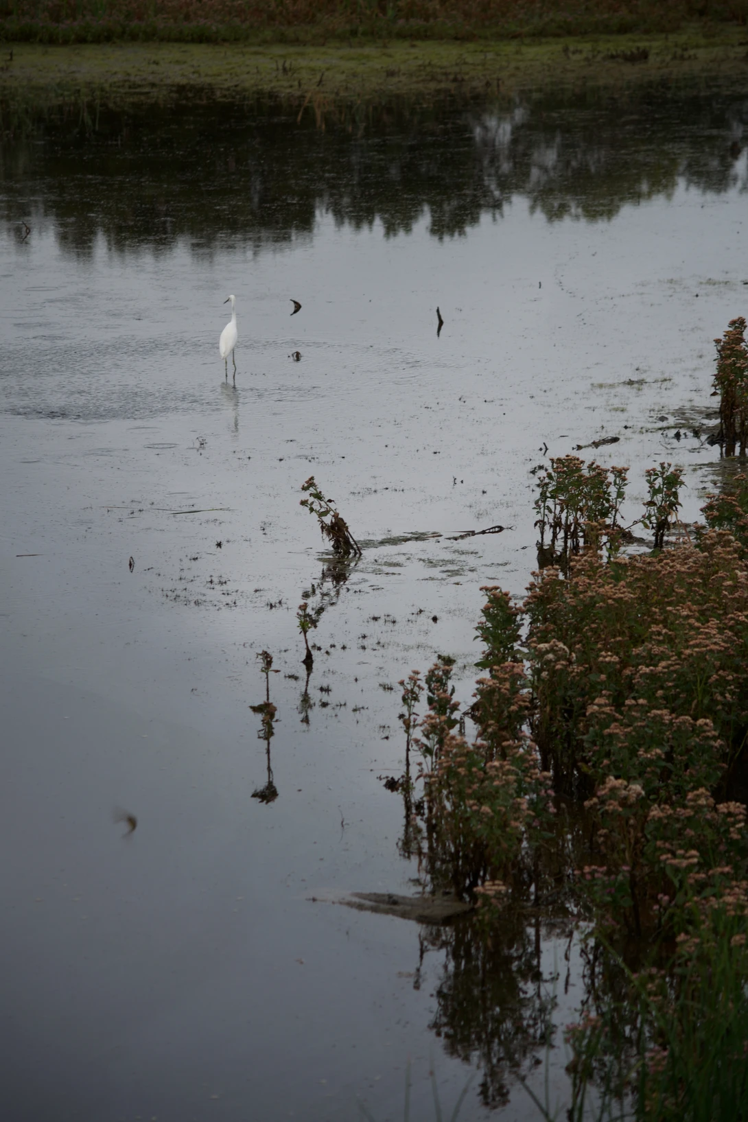 View 62a9c68ea3c2d4d9e146c73066f591ba.jpg by joseph cole
