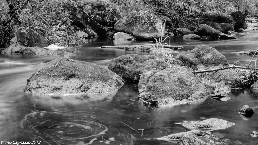 View 6d1570752b0477c1313954ce692d3f82.jpg by Vito Cagnazzo