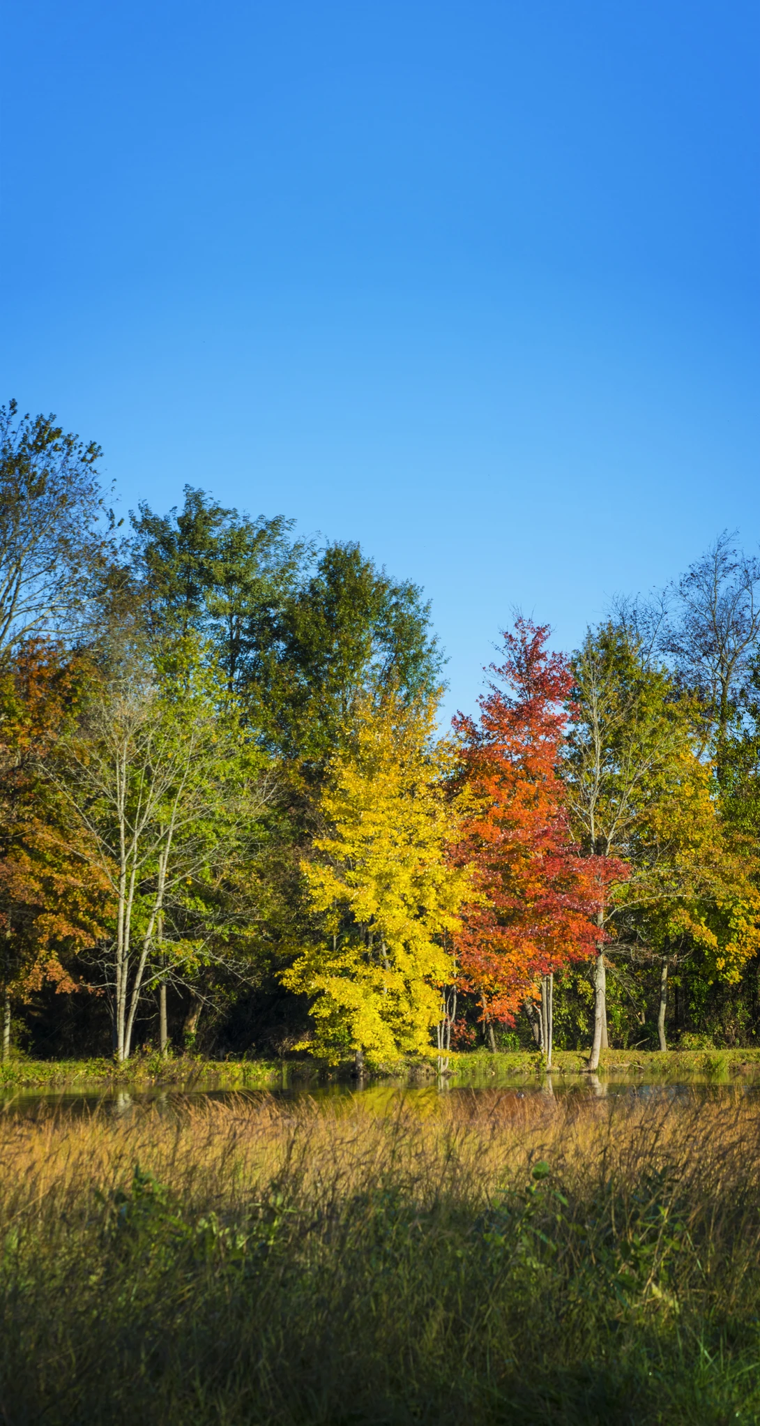 View 7ab6ce2470bfe1fae4935553769f333a.jpg by joseph cole