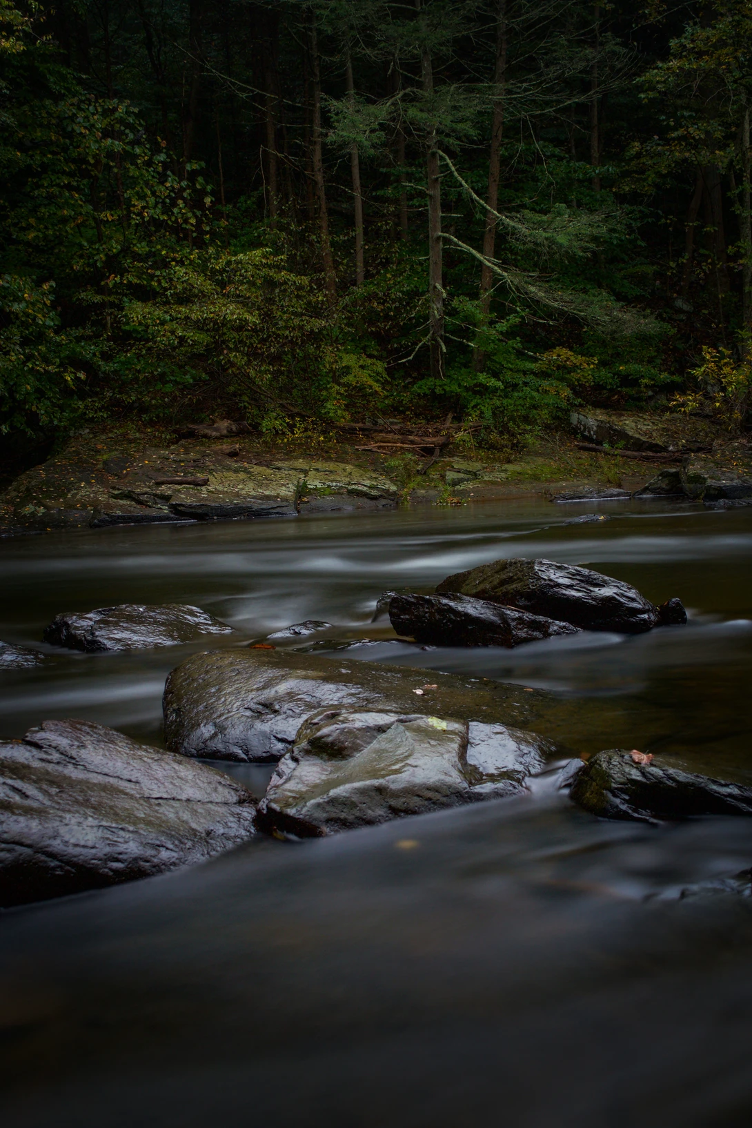 View 8449172805a50dacdd787155f110df86.jpg by joseph cole