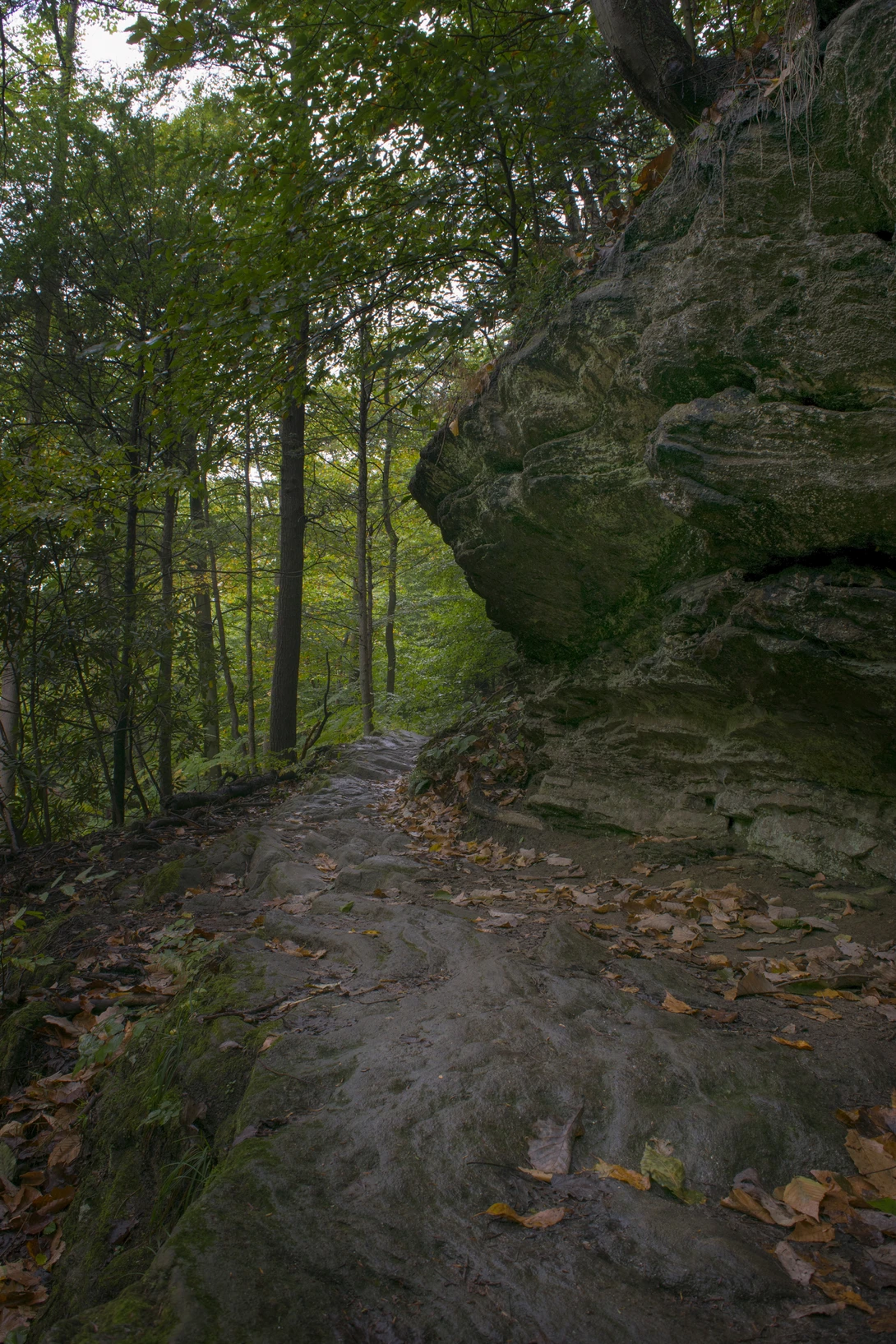 View 91540887e35335ec6eba628e9839b4f1.jpg by joseph cole