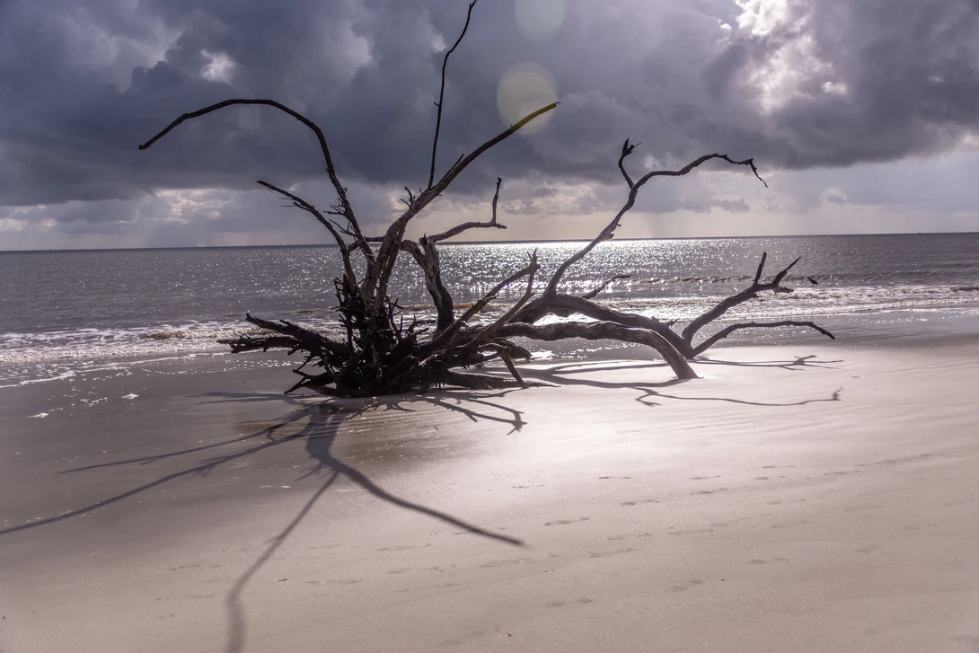 View 92620cfa3c1219983b72fbce587b746a.jpg by Mike Gutting
