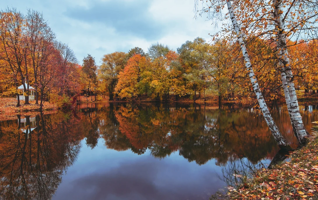 View 94994acacb565d6deddf7b24917e3d07.jpg by Artem Gruzdev
