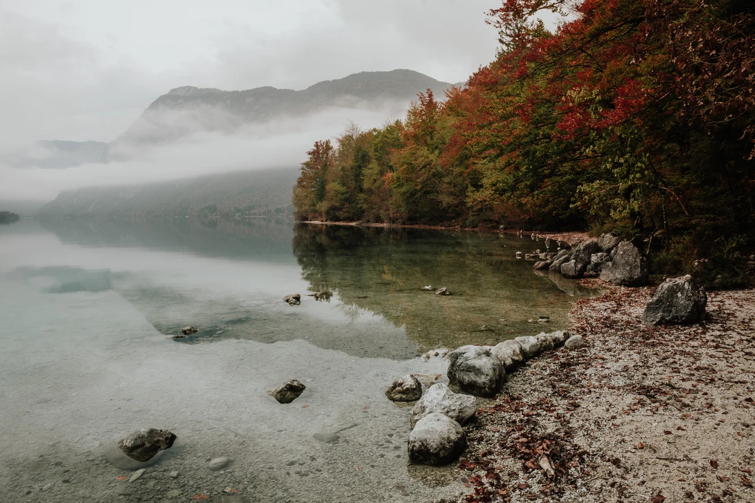 View ca016adbe0db646eb97be97cfdca1402.jpg by Dejan Andjelic