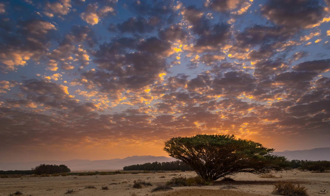 View cf6ce4065b7e156ace201563d1789d16.jpg by Marcus Sapir