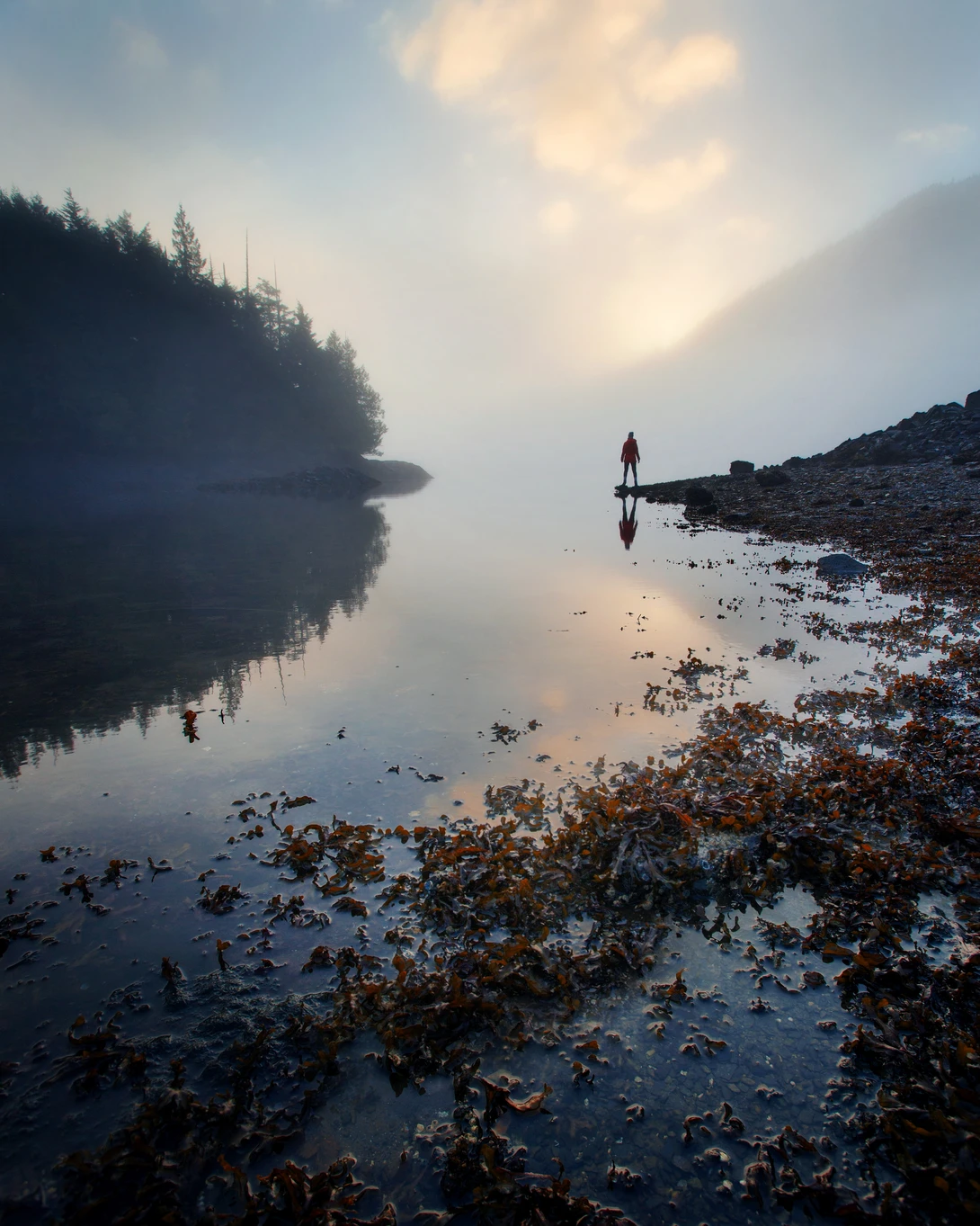 View d8a7f6e74ba6e01212c9d1a5e0211f0a.jpg by Olga Radzikh