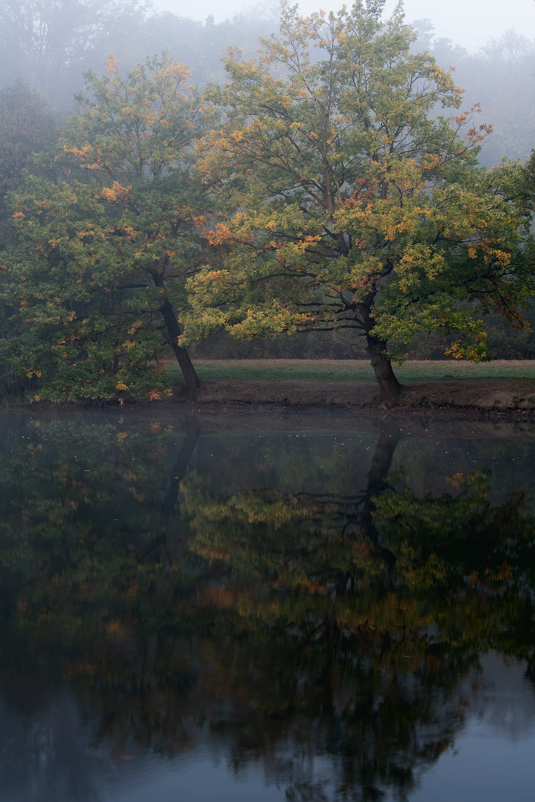 View e2f4fbd3c81aac8a0b489c004d3df3f2.jpg by Thorsten Westheider