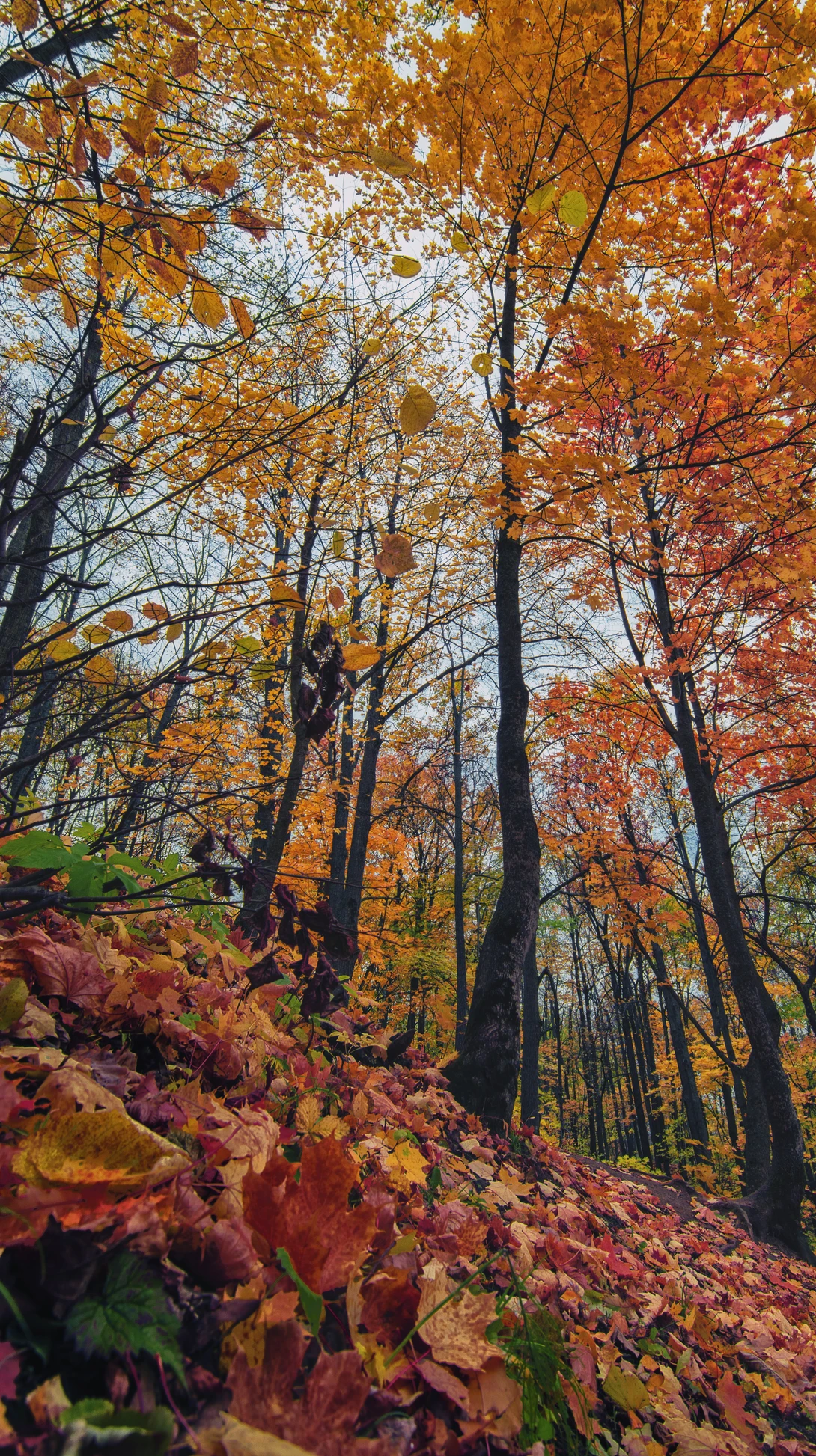 View ee5c0bf6e02a235cd0afd0269bbccc1c.jpg by Artem Gruzdev