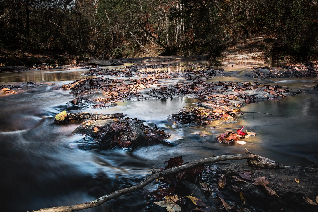 View 0a80d56d488cf30d25167781d76604b1.jpg by Mark Guinn