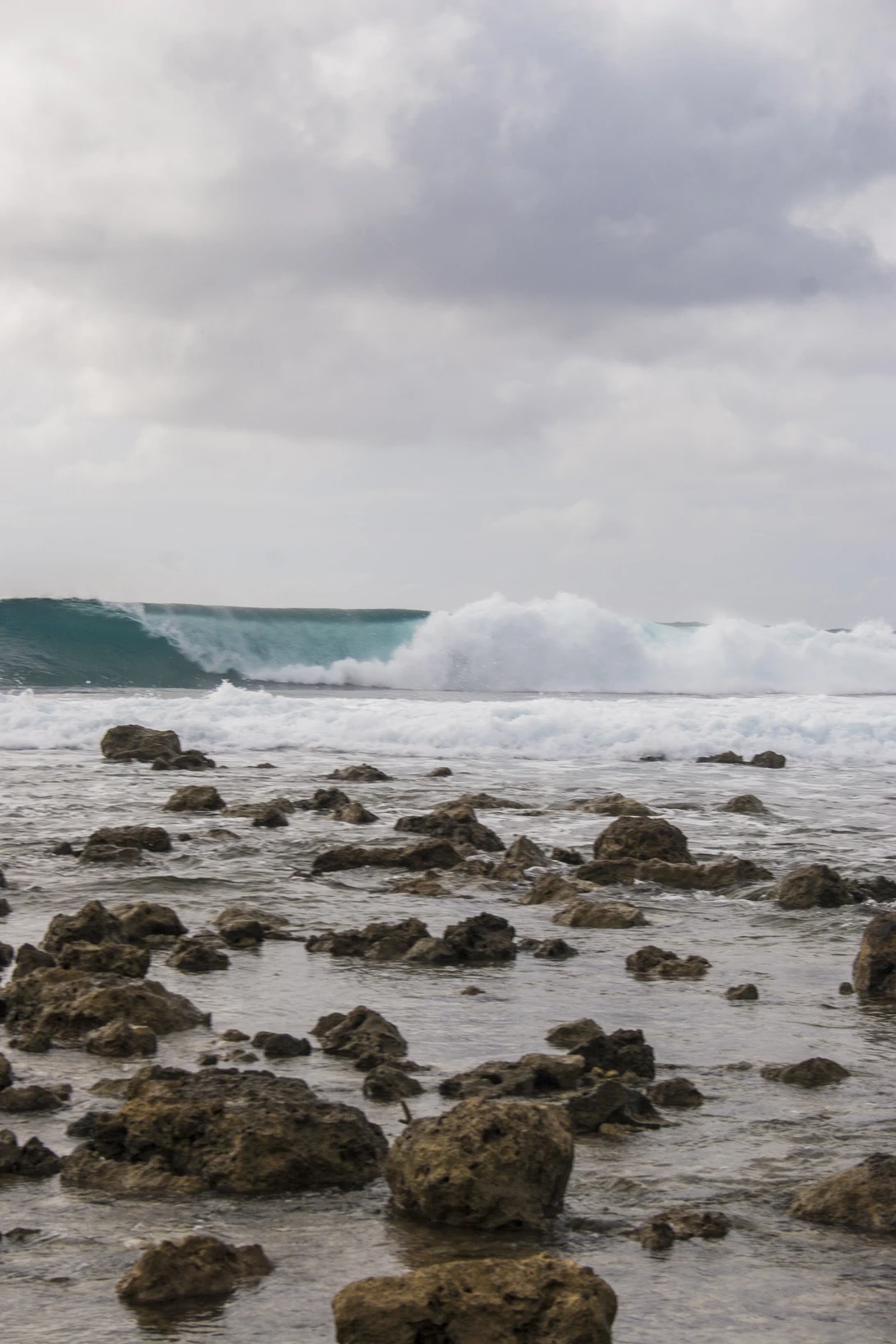 View 0ce51787f34dd33d1d478f37001e2af3.jpg by Nathan Krum