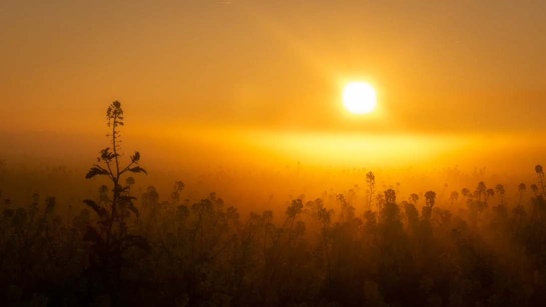 View 18f8f6641e15fbb3e7976773c00f2e0c.jpg by Nick B