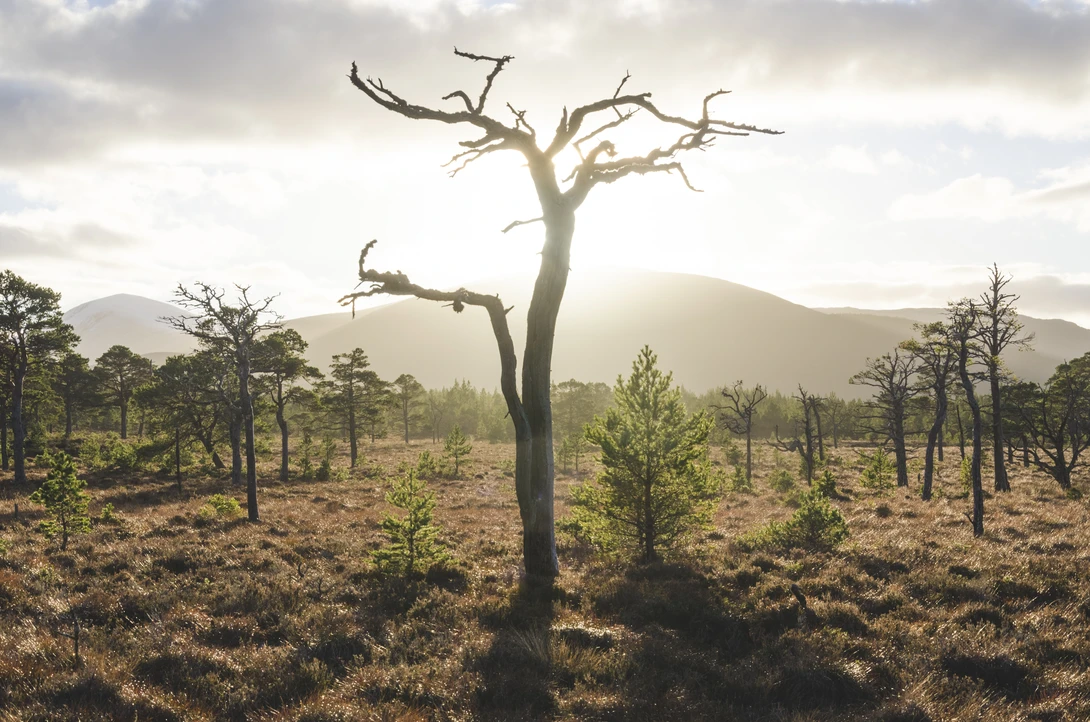 View 248e2b20e98f81b8ba6507b7d24eab1c.jpg by David Russell