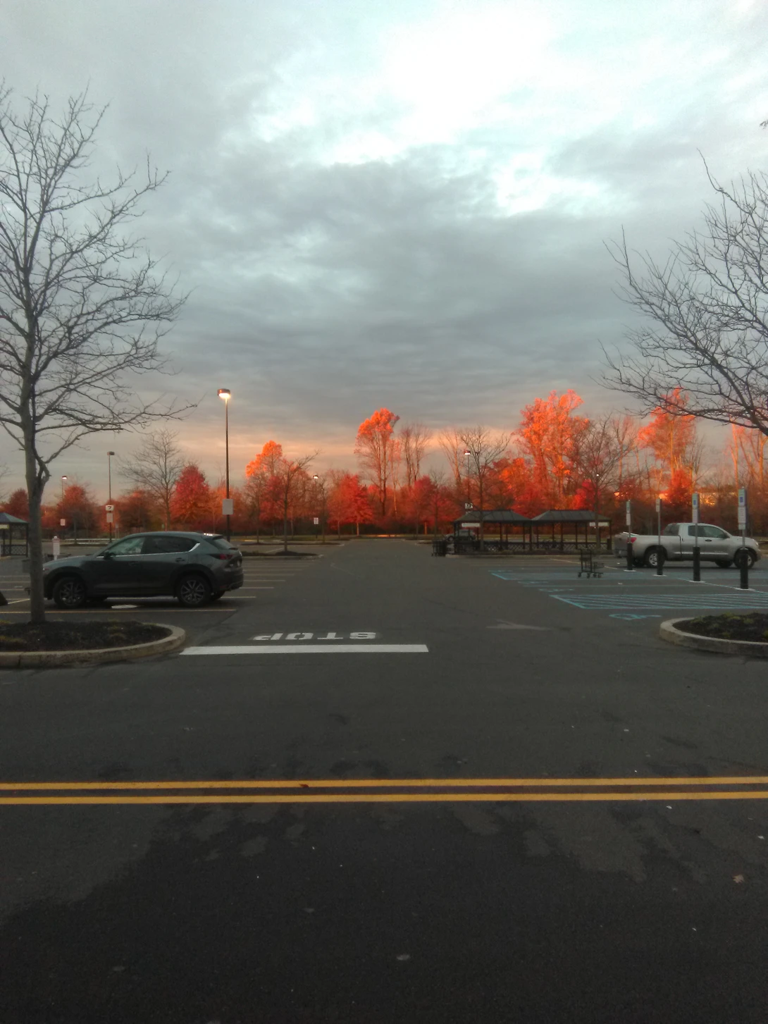 View 3f8966fa5b21f7cc09afd28871e18bc2.jpg by joseph cole