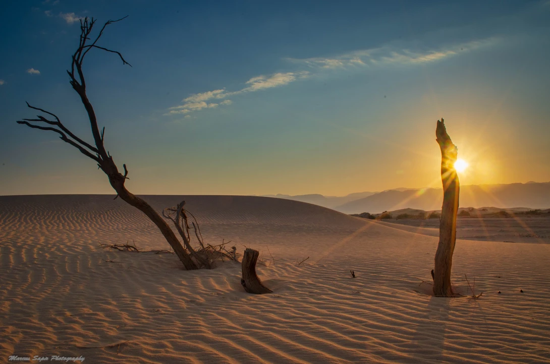View 6789a0830d90abd830895cf85c12839f.jpg by Marcus Sapir