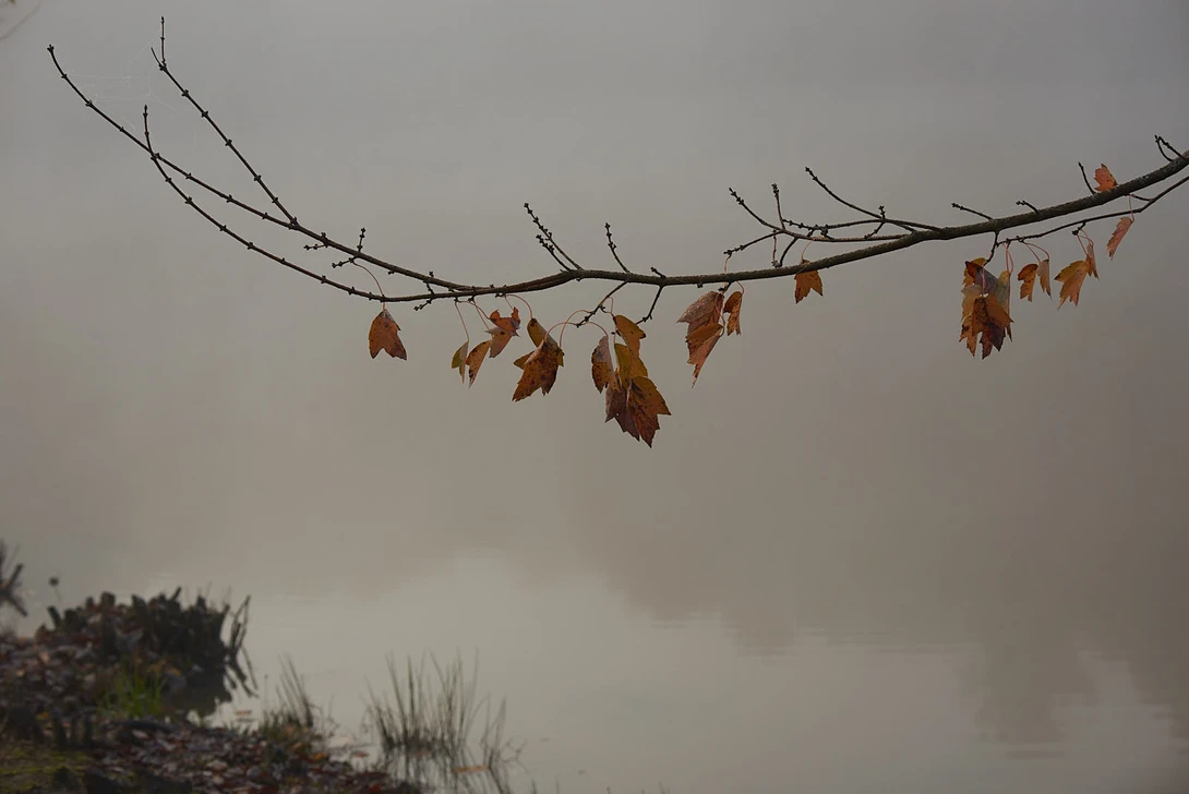View 6b001aed0253c56fd178aad24844d64a.jpg by Jack Bulkley