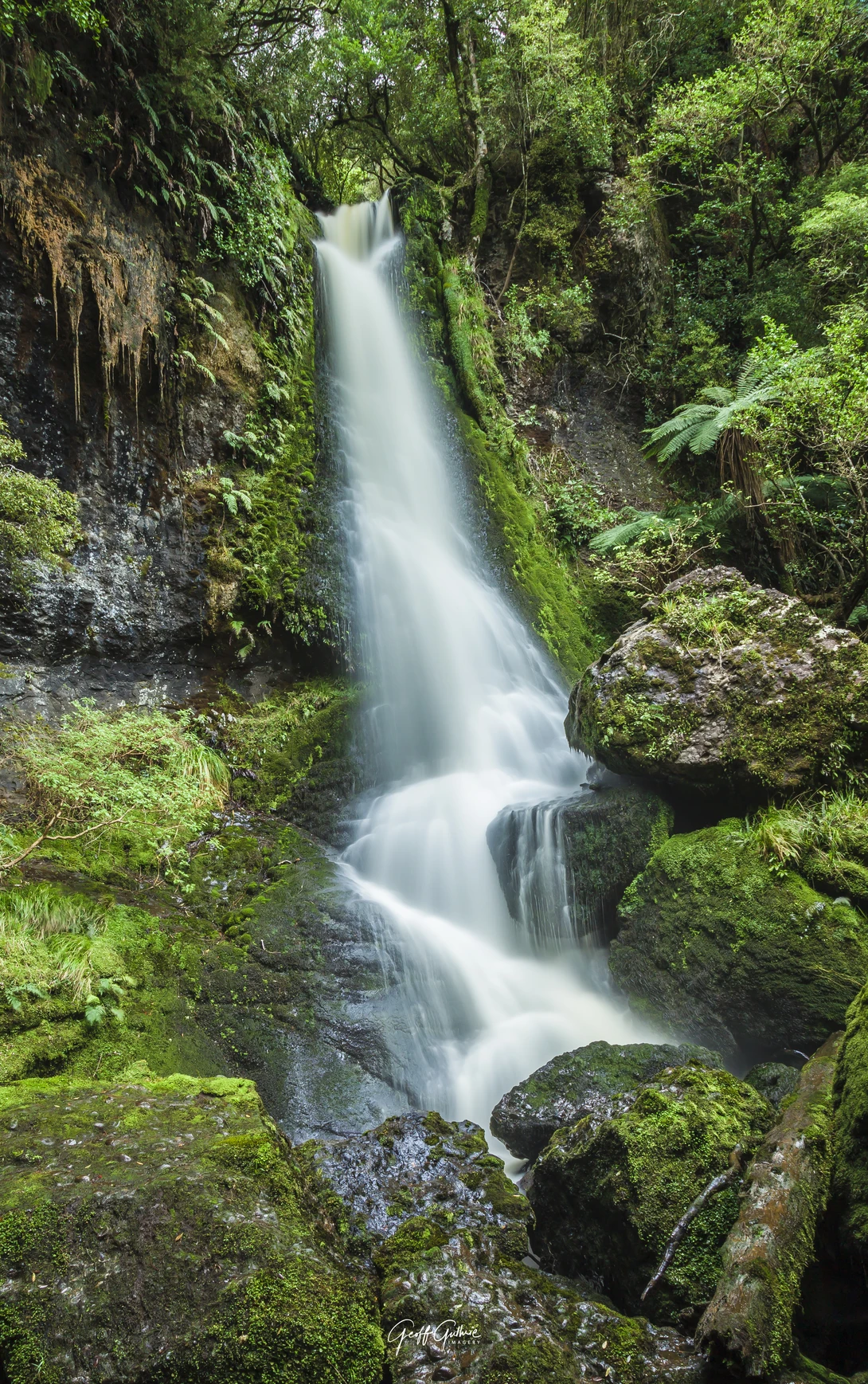 View 6e34091a551f4efdd082118182d121a4.jpg by Geoff Guthrie