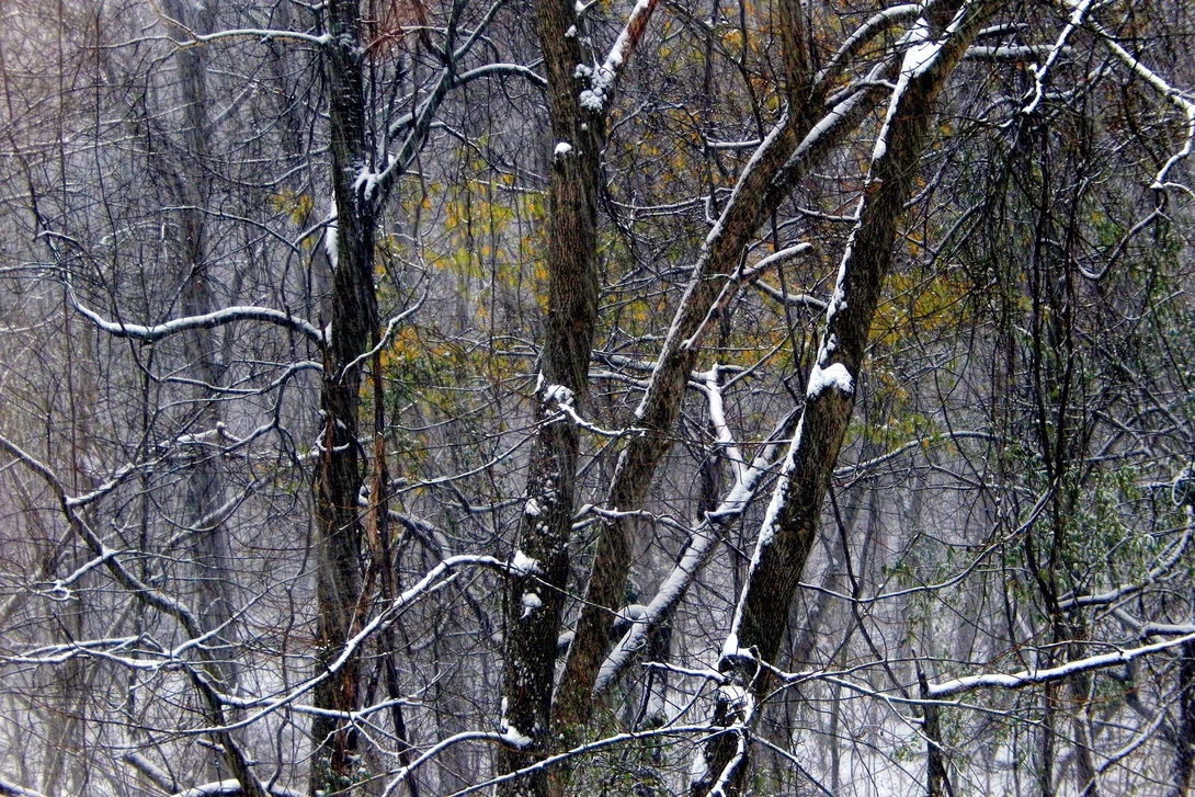 View 7dd9b014eab5d8c36f7b184900e84f86.jpg by Andrew Williams