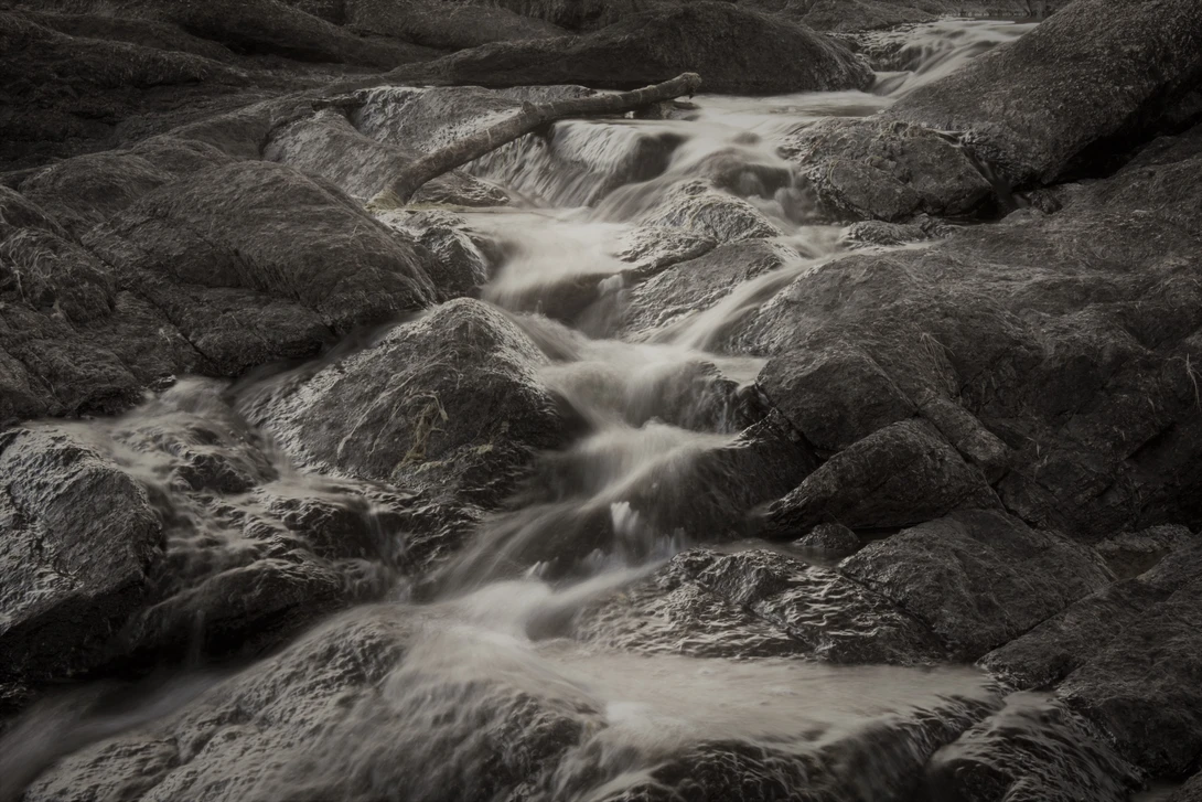 View 87308b255876fbf6408e916f6032da59.jpg by Bobby Wood