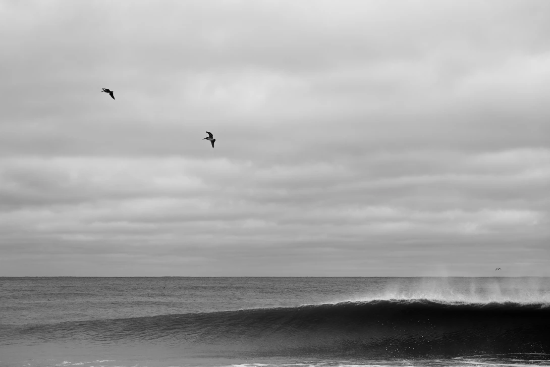 View 901bc388308f935d0da61efcff33a457.jpg by Logan Gearhart