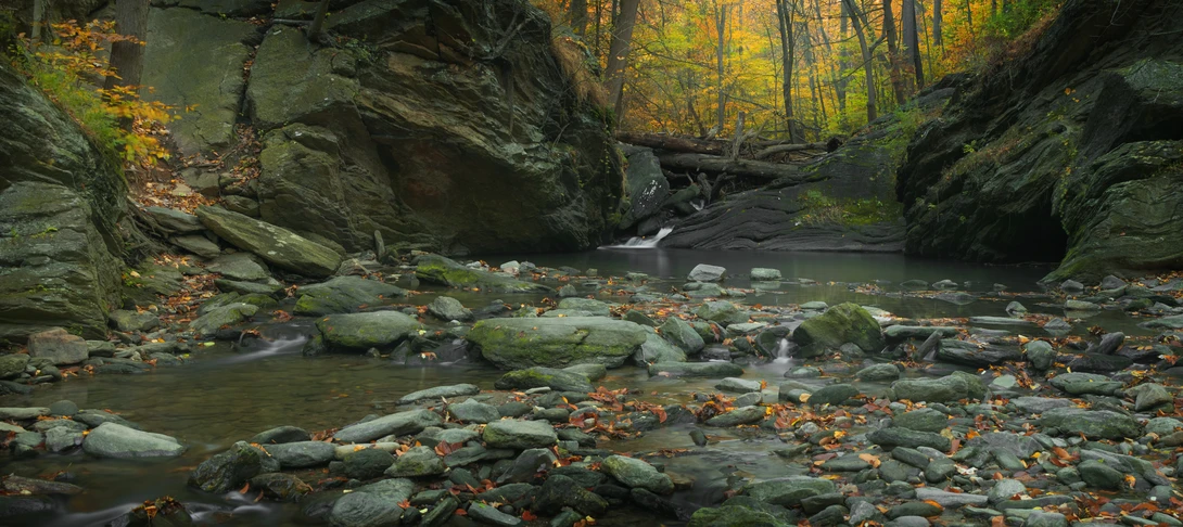 View 9957e770559fab95299dba4d5ffa494d.jpg by joseph cole