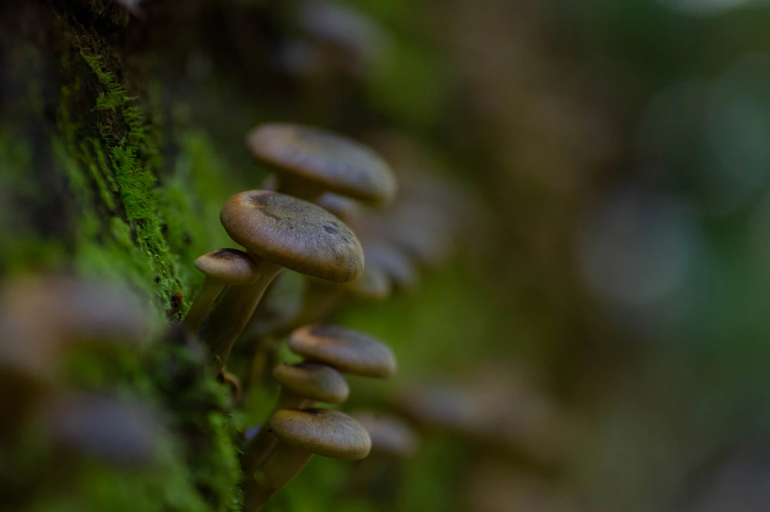 View 99d8da5aebf25944b826a90f435c8131.jpg by Jeremy Martignago