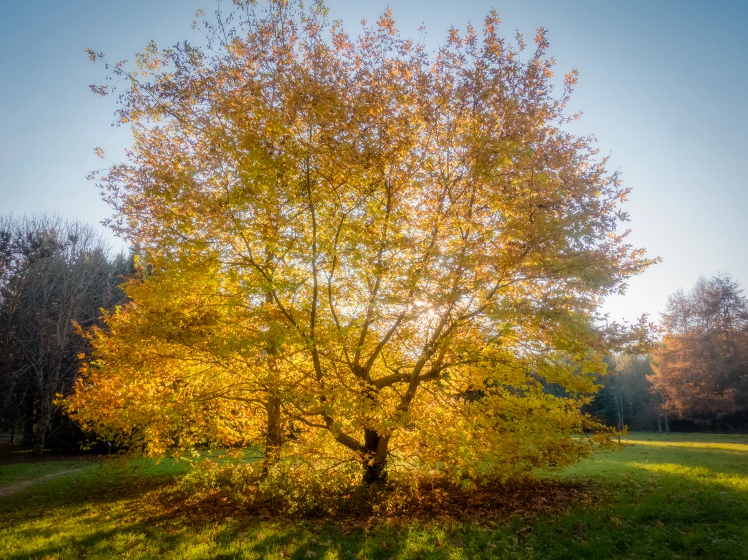 View 9c99b2ccaac0435f0696d75e6c31e002.jpg by Nick B